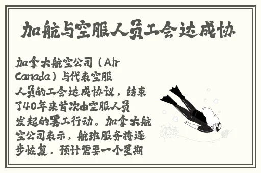 jb632583四叶草项链vca750